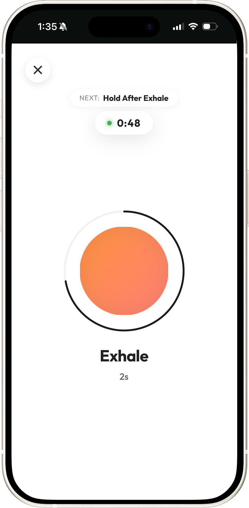 Prolungs Breathe Easy breathing app on iPhone showing guided lung training session - improve lung capacity and respiratory health
