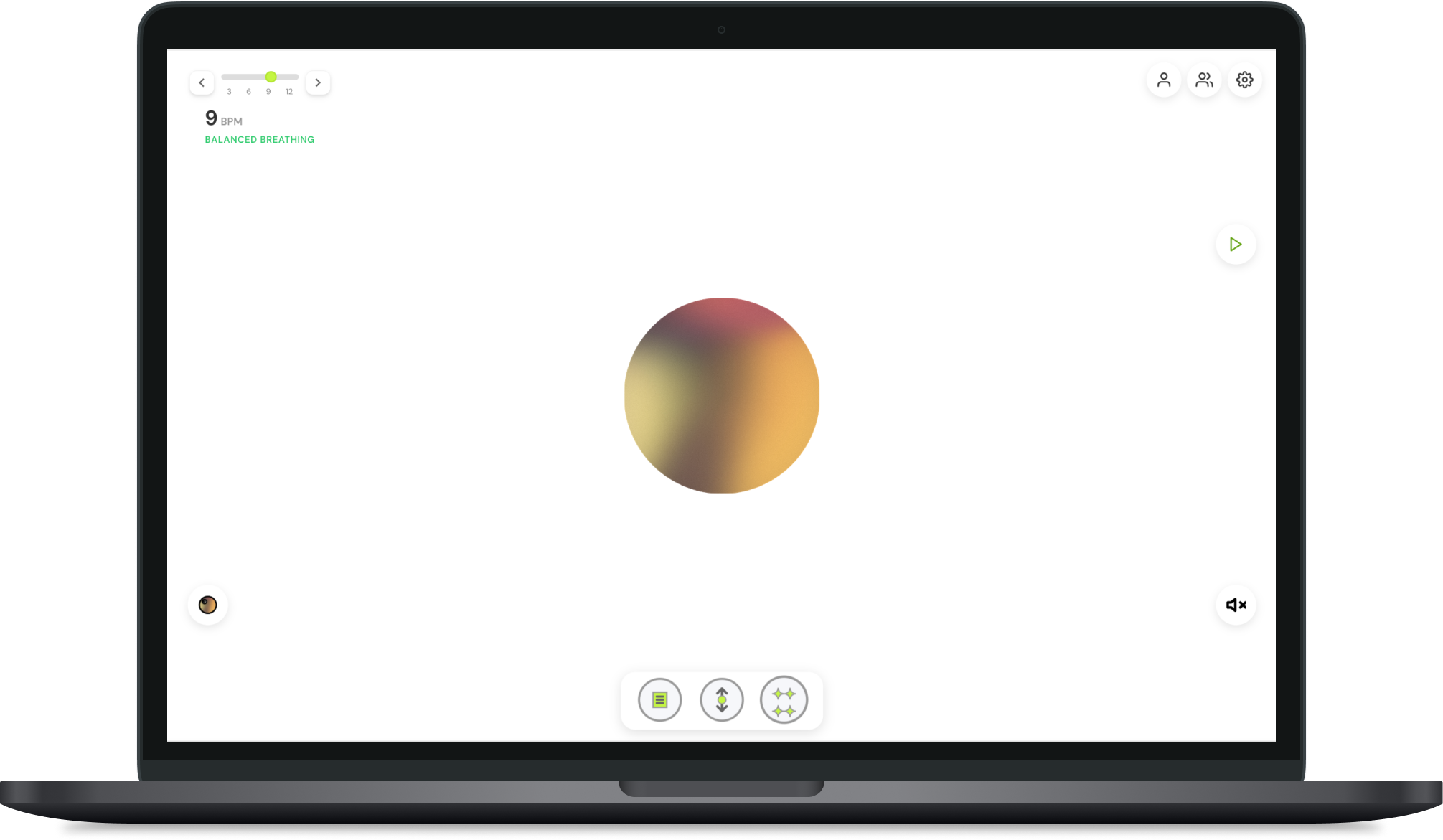 Prolungs Breathe Easy lung training app displayed on MacBook Pro - web-based breathing coach for lung health and respiratory improvement